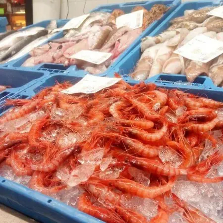 Apartment Diana - En Pleno Centro De