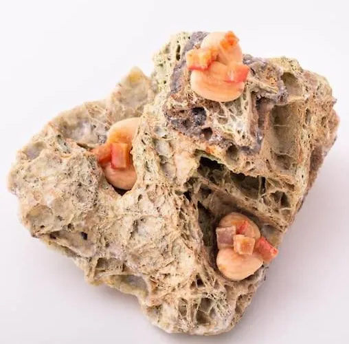 Appartement Diana - En Pleno Centro De *