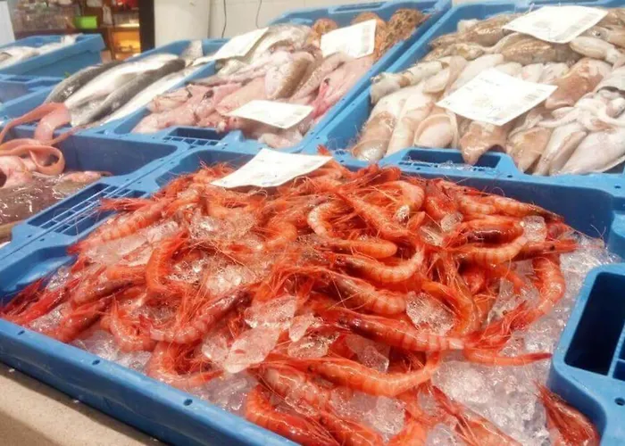 Appartement Diana - En Pleno Centro De